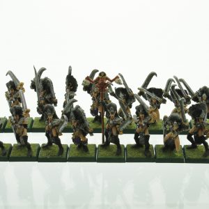 Warhammer Dark Elves Witch Elves