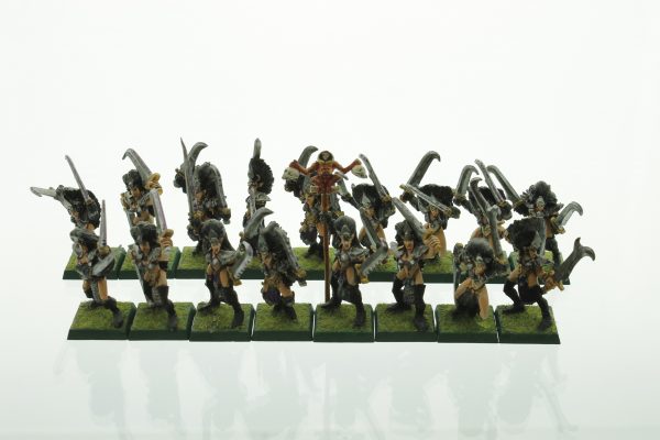 Warhammer Dark Elves Witch Elves