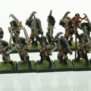 Warhammer Dark Elves Witch Elves