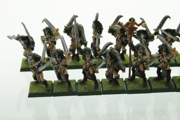 Warhammer Dark Elves Witch Elves