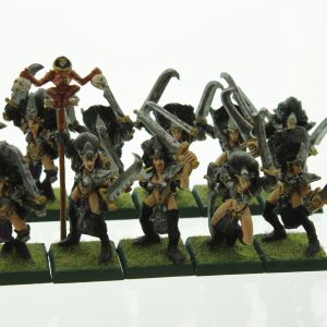 Warhammer Dark Elves Witch Elves