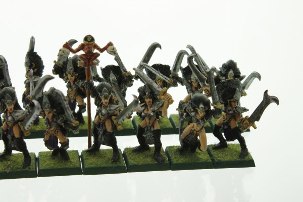 Warhammer Dark Elves Witch Elves