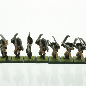 Warhammer Dark Elves Witch Elves