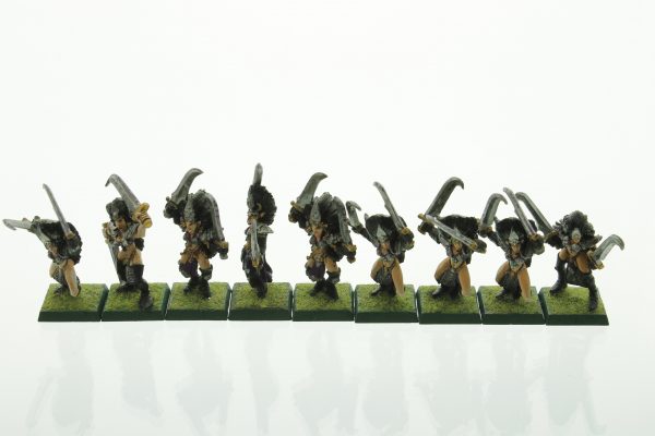 Warhammer Dark Elves Witch Elves