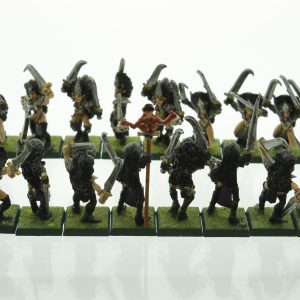 Warhammer Dark Elves Witch Elves