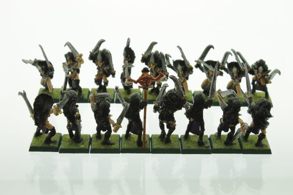 Warhammer Dark Elves Witch Elves