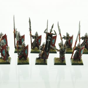 Warhammer Dark Elves Warriors Elf Spearmen