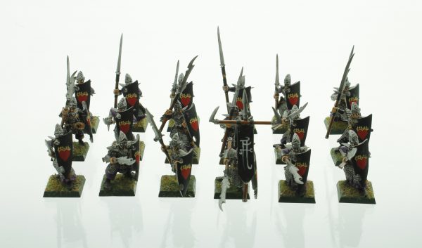 Warhammer Dark Elves Warriors Dark Elf Spearmen