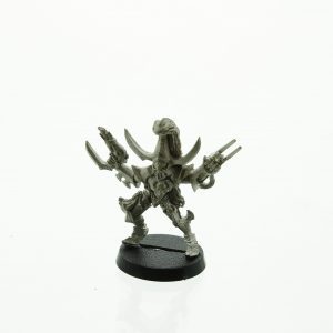 Warhammer 40.000 Dark Eldar Sybarite