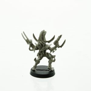 Warhammer 40.000 Dark Eldar Sybarite