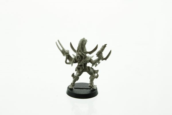 Warhammer 40.000 Dark Eldar Sybarite