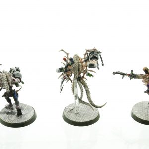 Warhammer 40K Dark Eldar Grotesque Drukhari