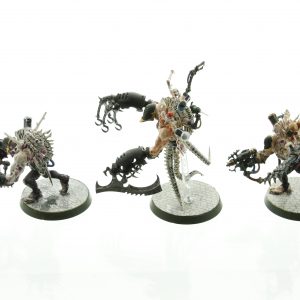 Warhammer 40K Dark Eldar Grotesque Drukhari