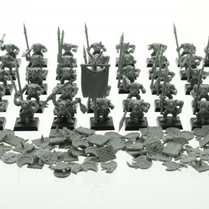 Warhammer Fantasy Goblin Warrior Regiment