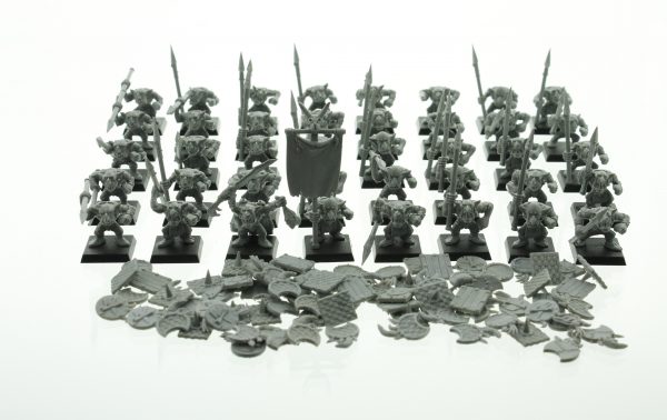 Warhammer Fantasy Goblin Warrior Regiment