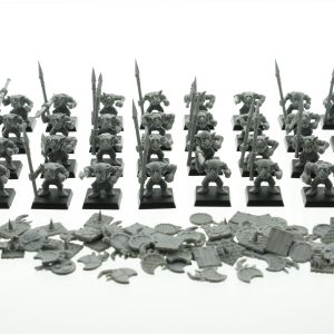 Warhammer Fantasy Goblin Warrior Regiment