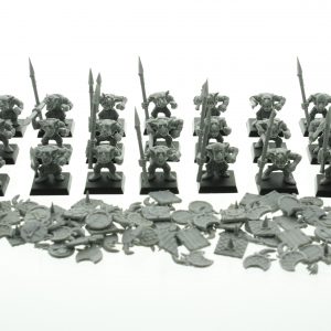 Warhammer Fantasy Goblin Warrior Regiment