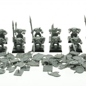 Warhammer Fantasy Goblin Warrior Regiment