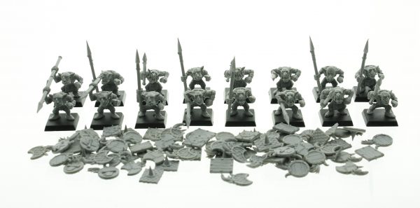 Warhammer Fantasy Goblin Warrior Regiment