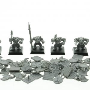 Warhammer Fantasy Goblin Warrior Regiment