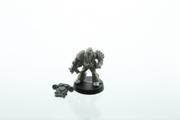 Warhammer 40K Rogue Trader Brother Skull