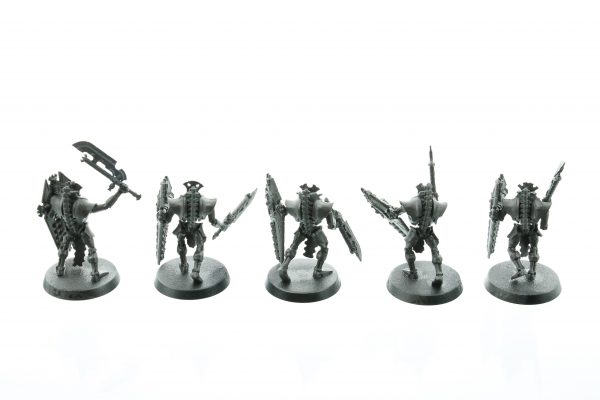 Warhammer 40K Necrons Lychguard