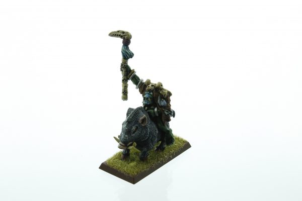 Warhammer Savage Orc Shaman on Boar