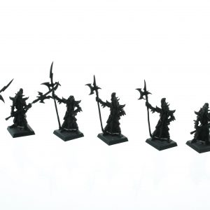 Warhammer Fantasy Dark Elf Black Guard