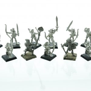 Warhammer Fantasy Wood Elf Scouts