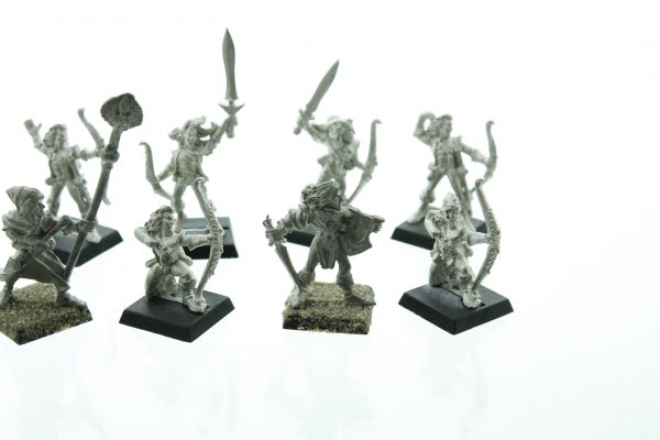 Warhammer Fantasy Wood Elf Scouts