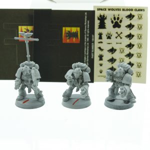 Space Wolves Blood Claws