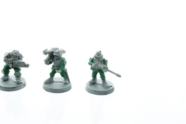Rogue Trader Imperial Guard