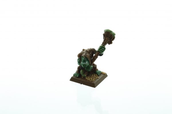 Orcs & Goblins Nazgob Shaman