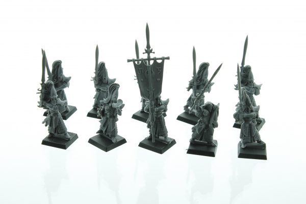 Warhammer Fantasy High Elf Swordmasters of Hoeth