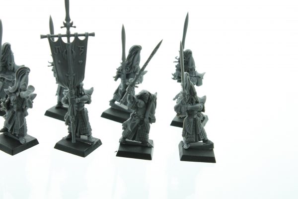 Warhammer Fantasy High Elf Swordmasters of Hoeth