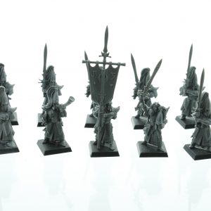 Warhammer Fantasy High Elf Swordmasters of Hoeth