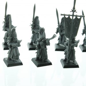 Warhammer Fantasy High Elf Swordmasters of Hoeth