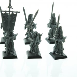 Warhammer Fantasy High Elf Swordmasters of Hoeth