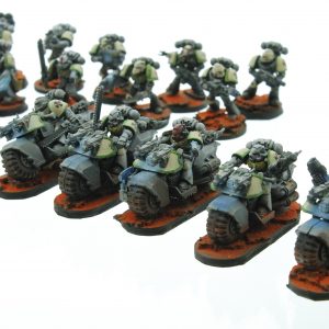 Warhammer 40K Steel Confessors