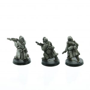 Warhammer 40K Valhallan Ice Warriors