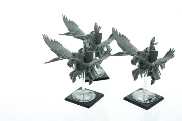 Warhammer Fantasy Bretonnia Pegasus Knights