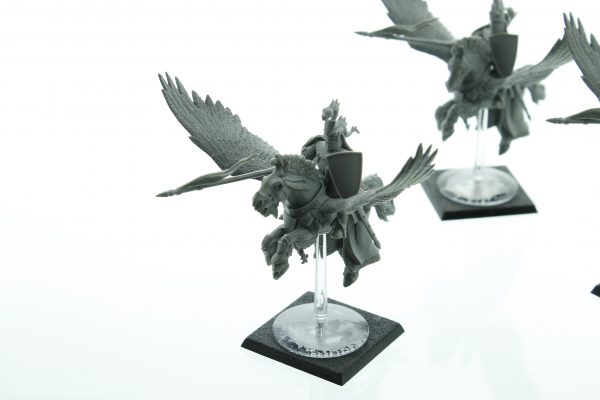 Warhammer Fantasy Bretonnia Pegasus Knights