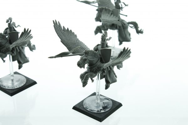 Warhammer Fantasy Bretonnia Pegasus Knights