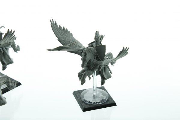 Warhammer Fantasy Bretonnia Pegasus Knights