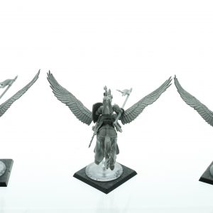 Warhammer Fantasy Bretonnia Pegasus Knights