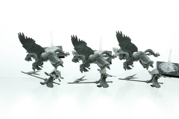 Warhammer Fantasy Bretonnia Pegasus Knights