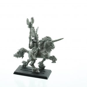 Marauder High Elf Mage on Unicorn