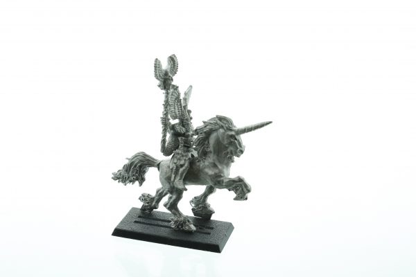 Marauder High Elf Mage on Unicorn