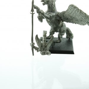 Warhammer Fantasy High Elf Hero on Pegasus