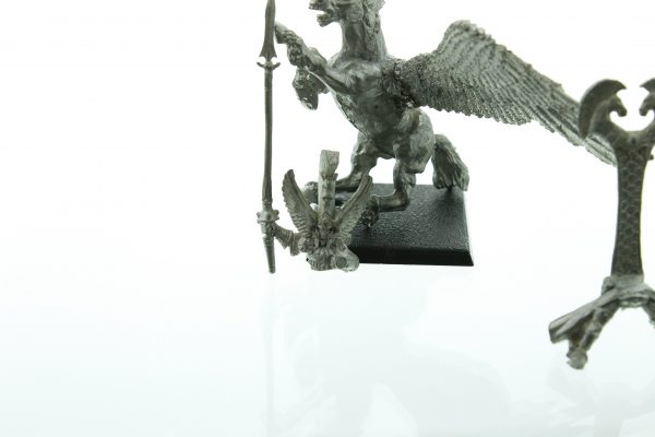 Warhammer Fantasy High Elf Hero on Pegasus